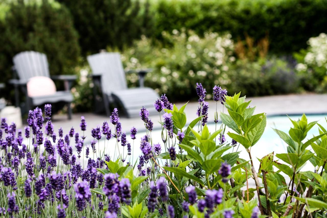 A Bascule Bed And Breakfast Maastricht 칸네 외부 사진